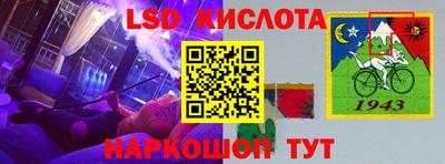 шишки Можга