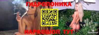 мяу мяу мука Моздок