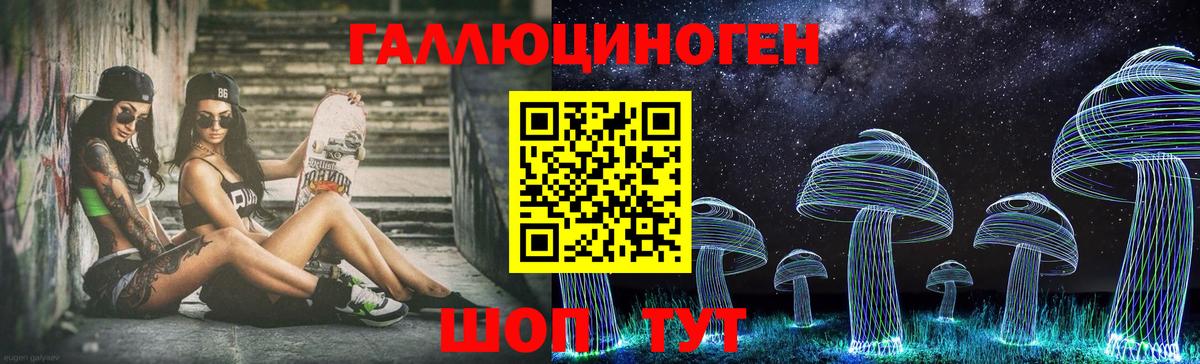 Горно-Алтайск  Псилоцибиновые грибы GOLDEN TEACHER  Вход с VPN 